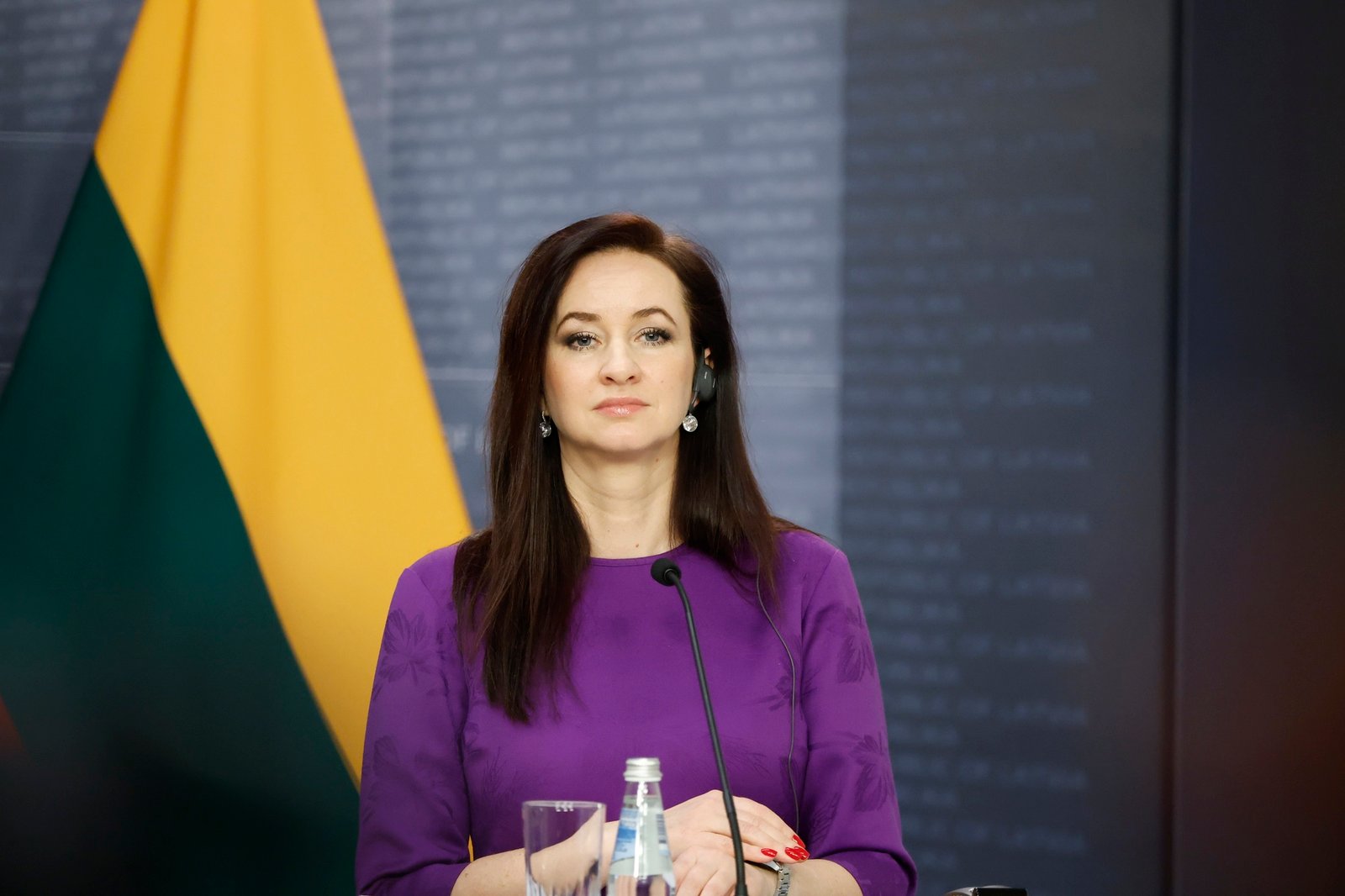 Портрет Інги Руґінене, що символізує відставку Кабінету міністрів Литви