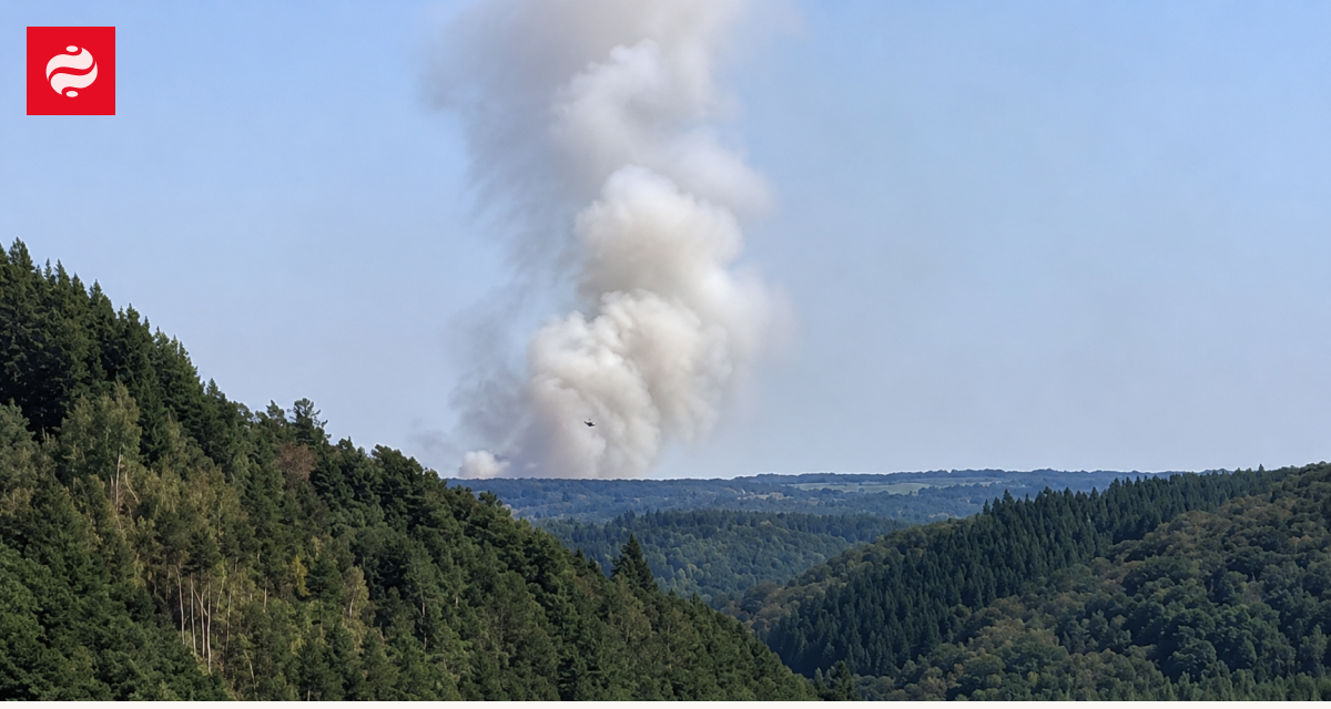 Лісові пожежі в Бельгії, евакуація населення, міжнародна допомога