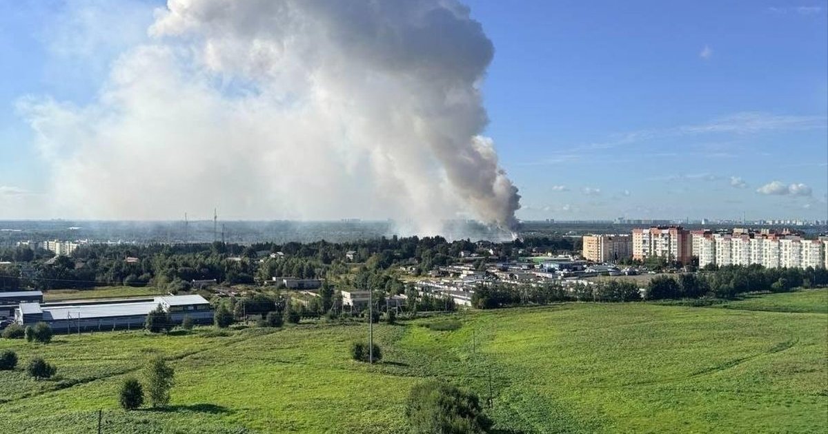 Зображення комплексу Новатек-Усть-Луга в Ленінградській області після ураження